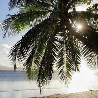 Why Fiji is the Idyllic Honeymoon Destination